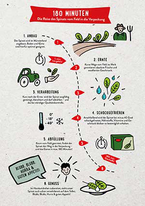 iglo_pressemitteilung_spinat_grafik
