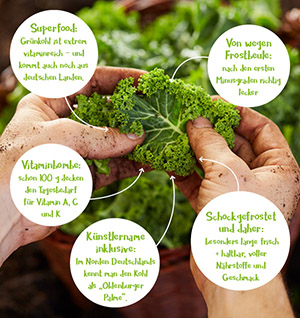 gruenes_mailing_gruenkohl