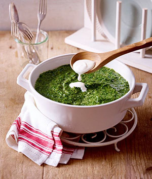 Pressemitteilung Deutscher Nachhaltigkeitspreis 2015 für iglo Blubb-Spinat