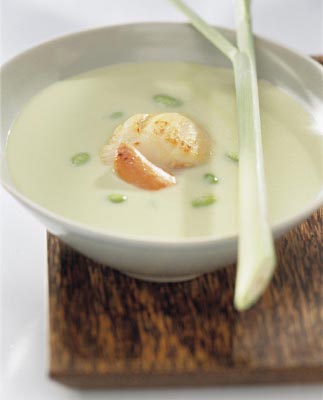 Suppe mit Jakobsmuschel