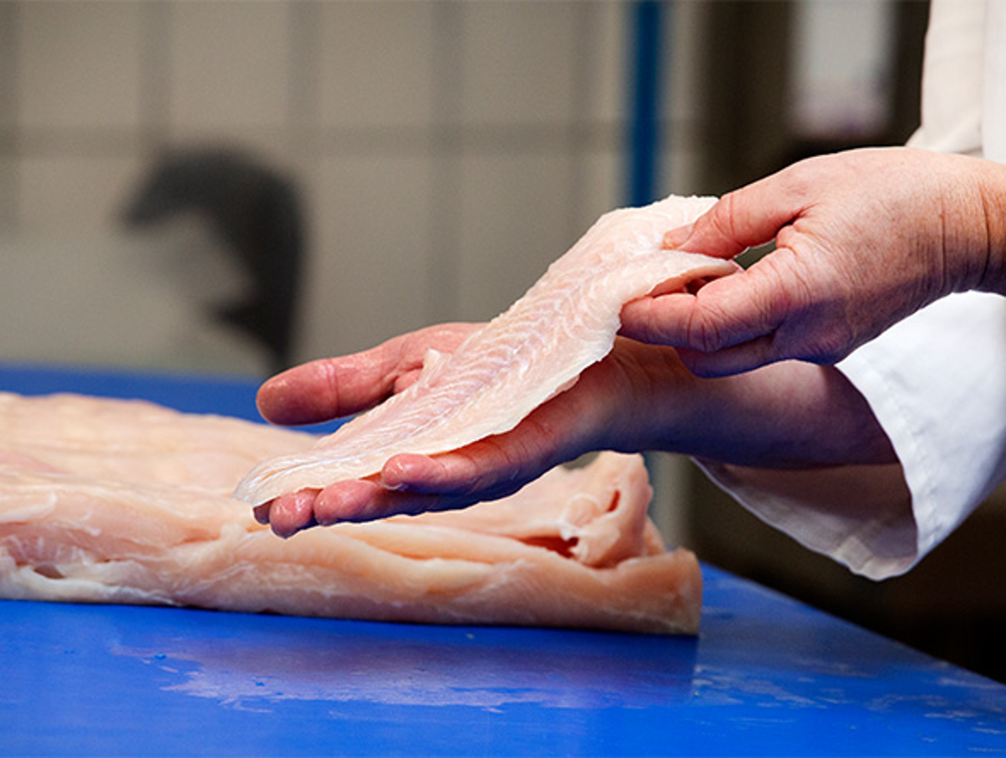 Frischer Fisch auf Eis, glänzend und von bester Qualität auf dem Markt